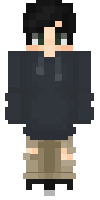 Скин по нику almostneverplay