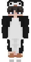 Скин по нику altersxd