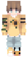Скин по нику altoskins