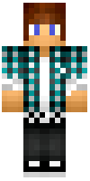 Скин по нику an4to