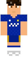 Скин по нику ap1