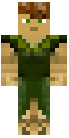 Скин по нику armyplay