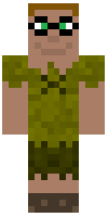 Скин по нику bNoid