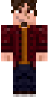 Скин по нику bardockjerms