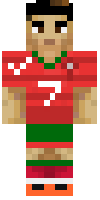 Скин по нику basti107