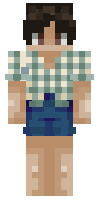 Скин по нику bedleesnoob