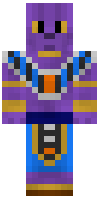 Скин по нику beerus