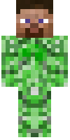 Скин по нику begas