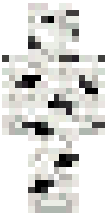 Скин по нику birch_log