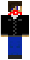 Скин по нику blechroboter