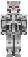 Скин по нику botter