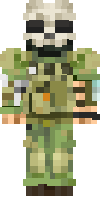 Скин по нику brigand