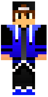 Скин по нику brofeelgamer