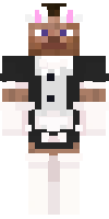 Скин по нику bunnysuit