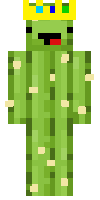 Скин по нику cactus_228