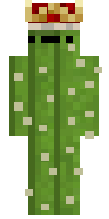Скин по нику cactus_gopa