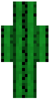 Скин по нику cactus_man