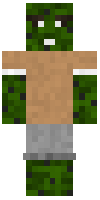 Скин по нику cactuss