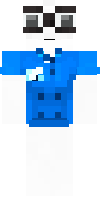 Скин по нику cedynery