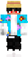 Скин по нику chell13