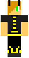 Скин по нику chestwest