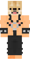 Скин по нику cobolt_YT