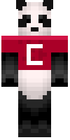 Скин по нику cocoarules