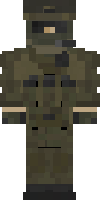 Скин по нику combatant