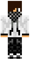 Скин по нику combattants