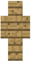 Скин по нику crafter19
