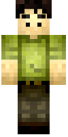 Скин по нику craftyhawk