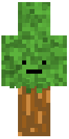 Скин по нику crazycreeper1