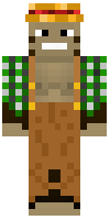 Скин по нику cubcraft