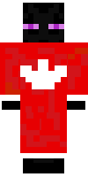 Скин по нику damy_