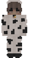 Скин по нику derfsa