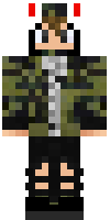 Скин по нику destroyerpaper