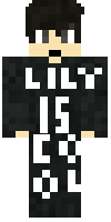 Скин по нику dixi123
