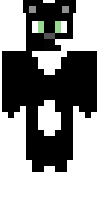 Скин по нику doctor_skull