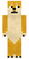 Скин по нику doge_games