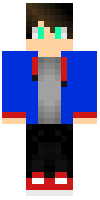 Скин по нику dominostein25