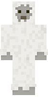 Скин по нику donutgamer_