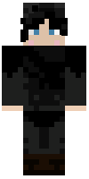 Скин по нику dysko