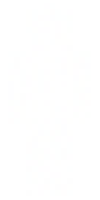 Скин по нику e7a