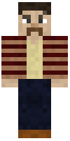 Скин по нику earthsteve