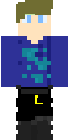 Скин по нику elarten