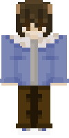 Скин по нику ender___