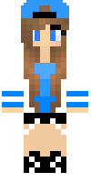 Скин по нику enderbro244