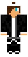 Скин по нику enderdragon991