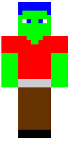 Скин по нику enderlord8