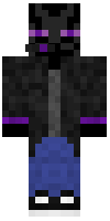 Скин по нику enderwinner